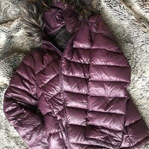 Purple Calvin Klein winter coat